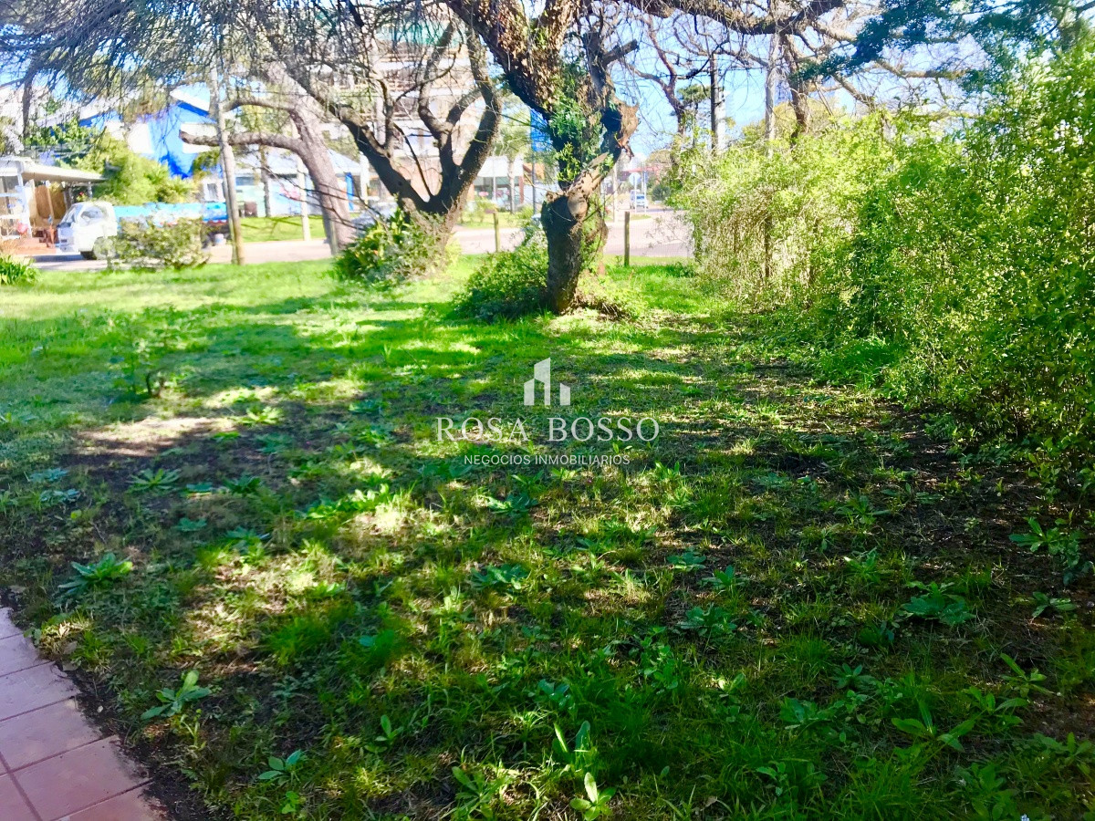 Apartamento ID.6098 - Punta del Este, área comercial Pda. 5