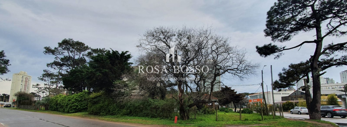 Apartamento ID.6098 - Punta del Este, área comercial Pda. 5