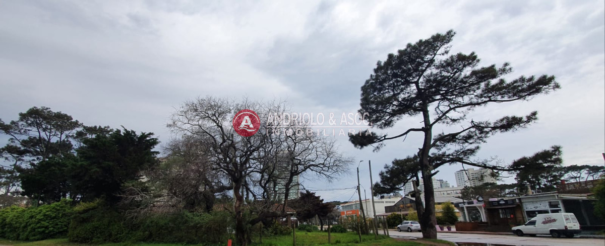 Casa ID.6710 - Punta del Este, área comercial Pda. 5
