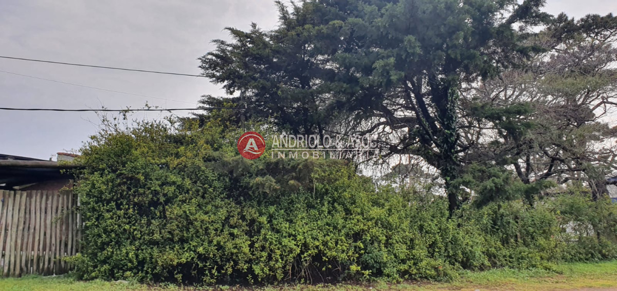 Casa ID.6710 - Punta del Este, área comercial Pda. 5
