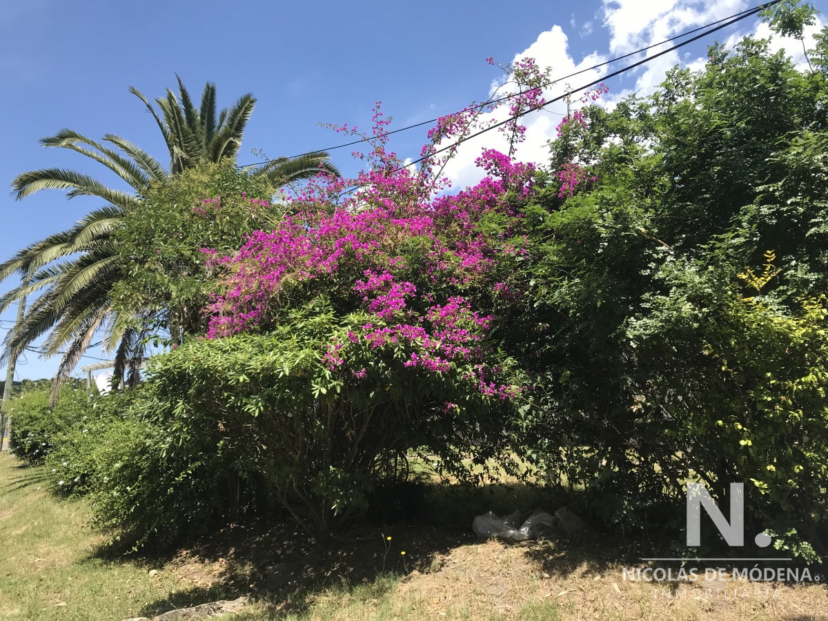 El Tesoro - GoPunta - Portal Inmobiliario de Punta del Este - Maldonado