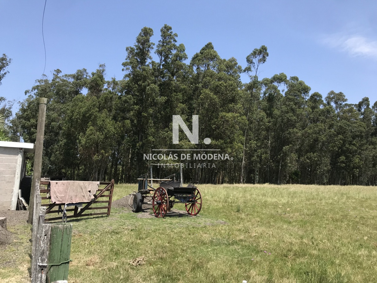 Chacra