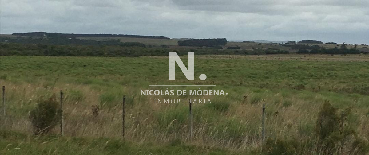Chacra
