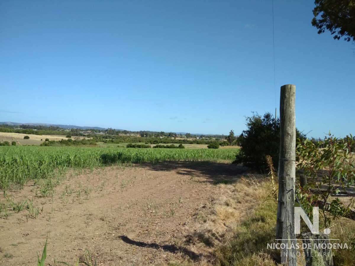 Quinta de Medina - GoPunta - Portal Inmobiliario de Punta del Este - Maldonado