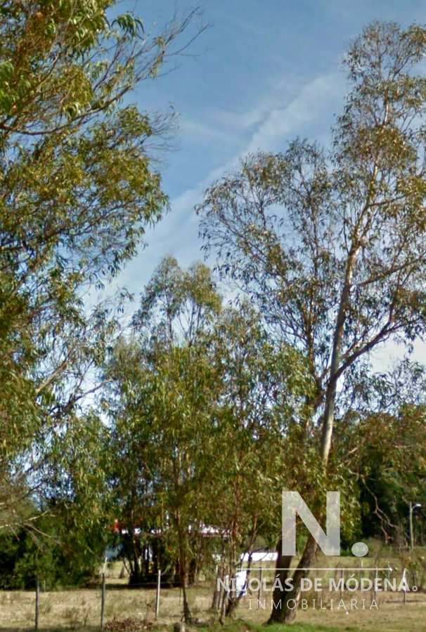 Quinta de Medina - GoPunta - Portal Inmobiliario de Punta del Este - Maldonado