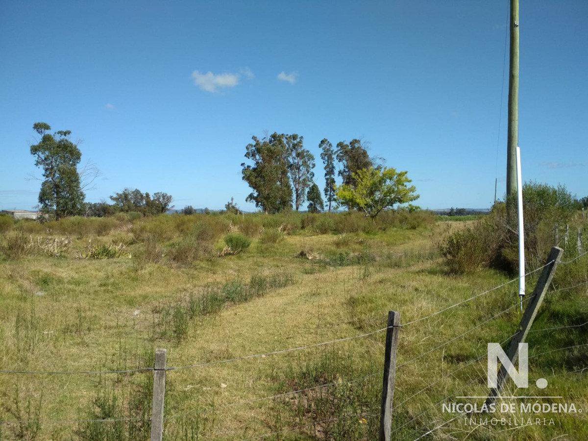 Quinta de Medina - GoPunta - Portal Inmobiliario de Punta del Este - Maldonado