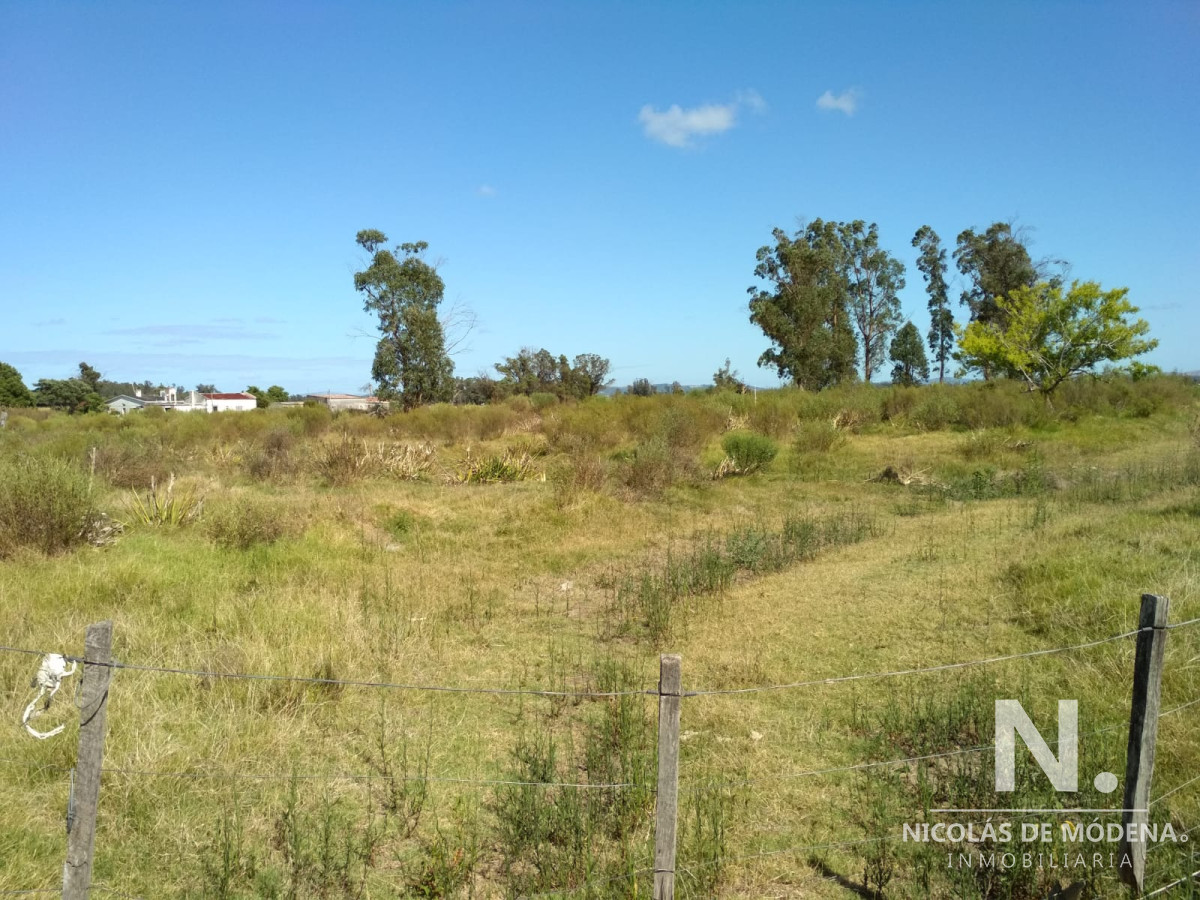 Quinta de Medina - GoPunta - Portal Inmobiliario de Punta del Este - Maldonado