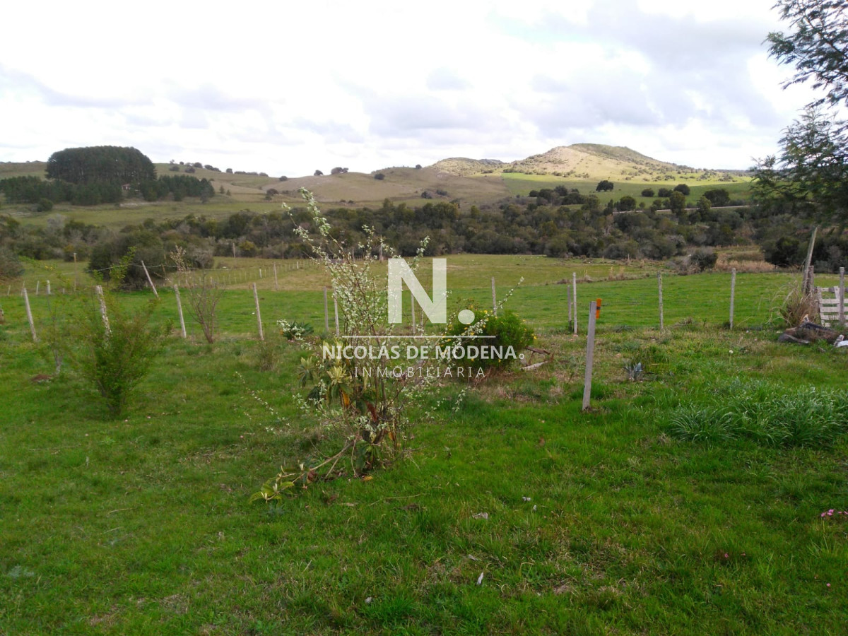 Campo