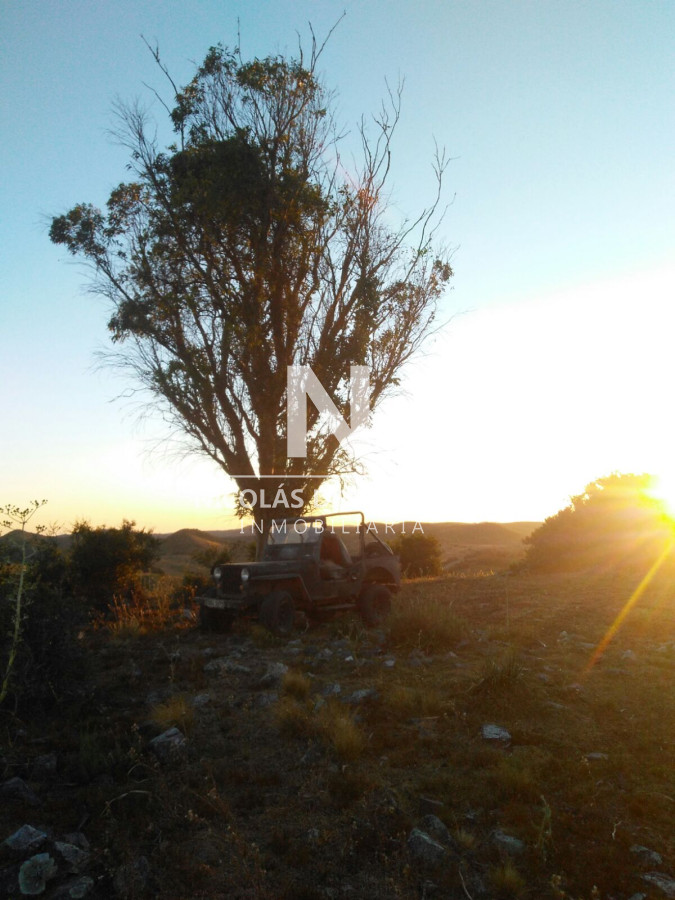 Campo