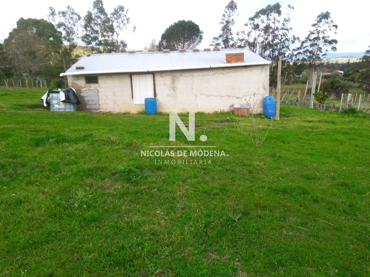 Campo