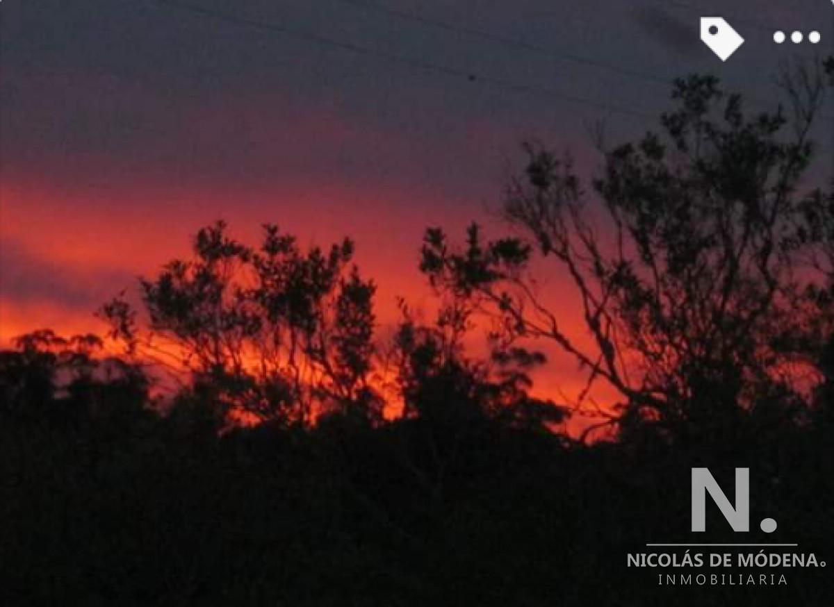 Chacra en venta - GoPunta - Portal Inmobiliario de Punta del Este - Maldonado