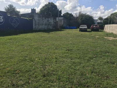 San Carlos, Terreno 