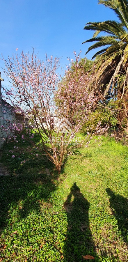 Casa ID.5682 - Venta Casa en Centro de San Carlos