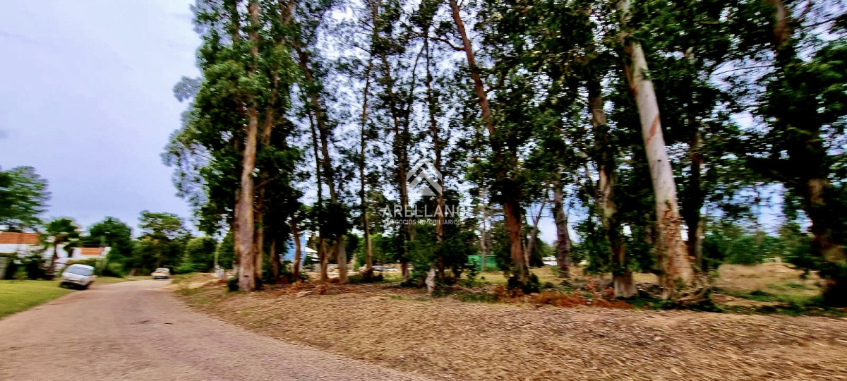 Terreno ID.3181 - Terreno en zona de Colegios 1600 m2 - Marly - Punta del Este