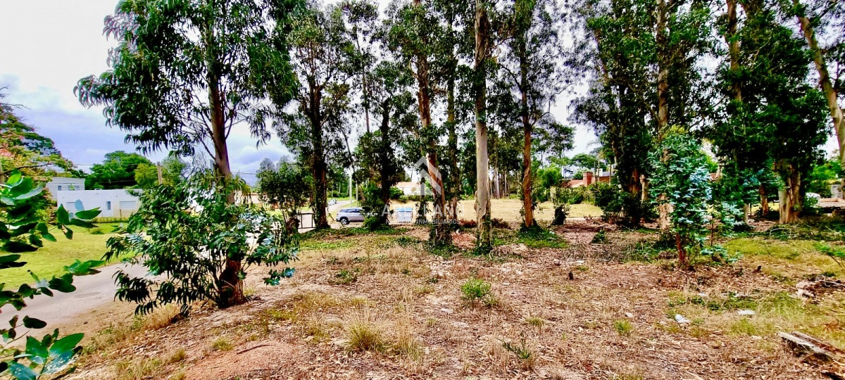 Terreno ID.3181 - Terreno en zona de Colegios 1600 m2 - Marly - Punta del Este