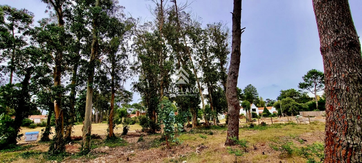 Terreno ID.3181 - Terreno en zona de Colegios 1600 m2 - Marly - Punta del Este