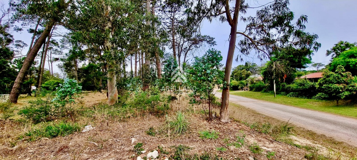Terreno ID.3181 - Terreno en zona de Colegios 1600 m2 - Marly - Punta del Este