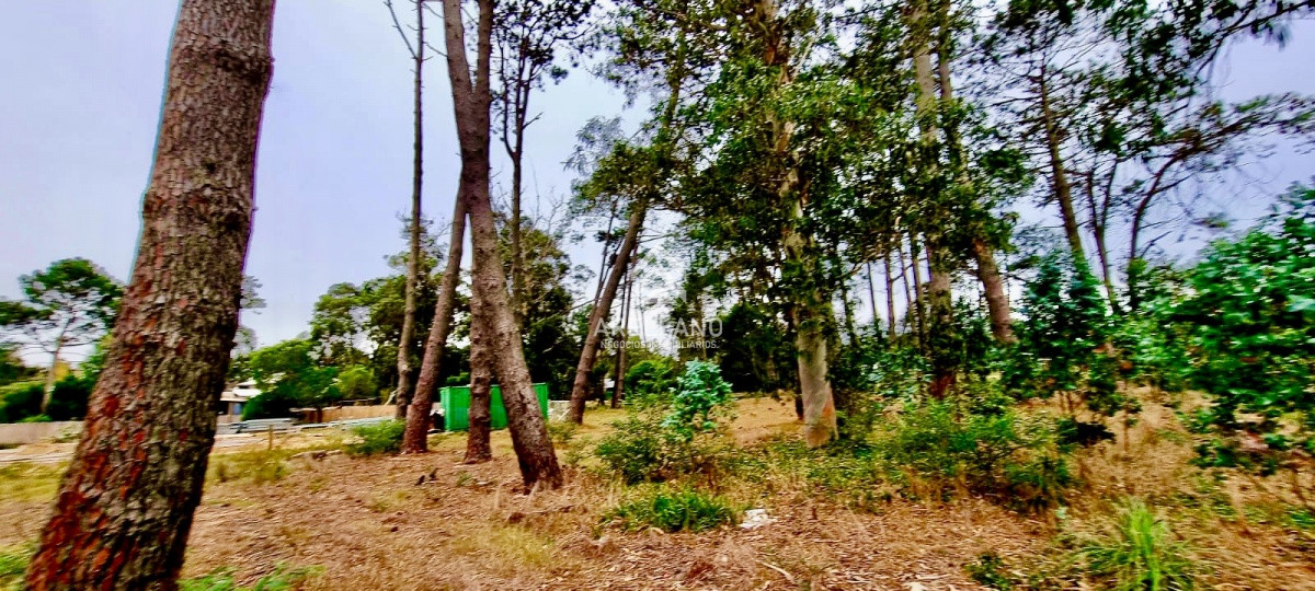 Terreno ID.3181 - Terreno en zona de Colegios 1600 m2 - Marly - Punta del Este
