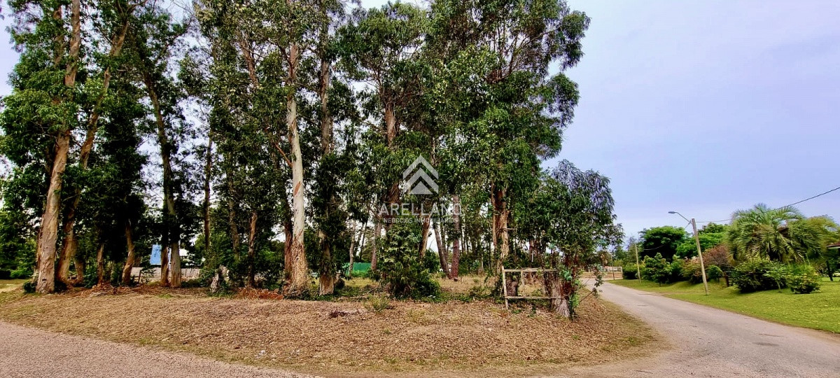 Terreno ID.3181 - Terreno en zona de Colegios 1600 m2 - Marly - Punta del Este