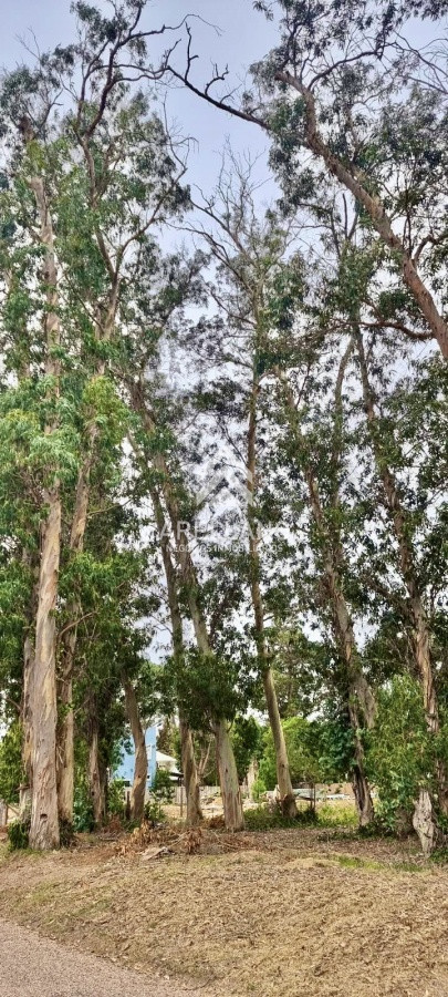 Terreno ID.3181 - Terreno en zona de Colegios 1600 m2 - Marly - Punta del Este