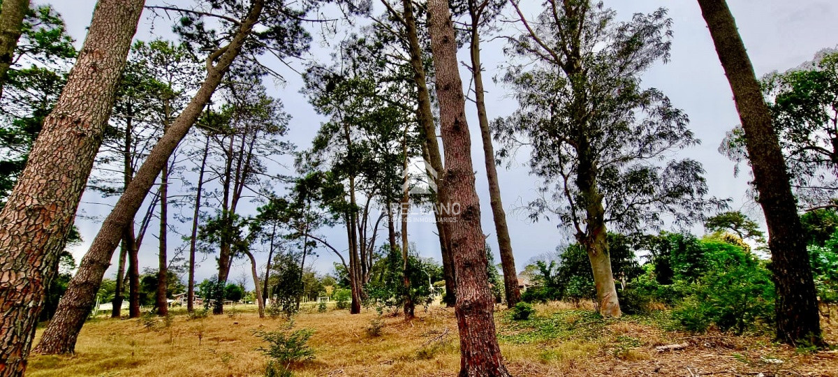 Terreno ID.3181 - Terreno en zona de Colegios 1600 m2 - Marly - Punta del Este