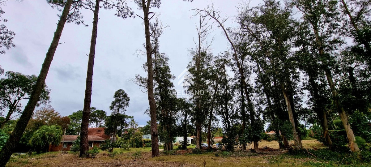Terreno ID.3181 - Terreno en zona de Colegios 1600 m2 - Marly - Punta del Este
