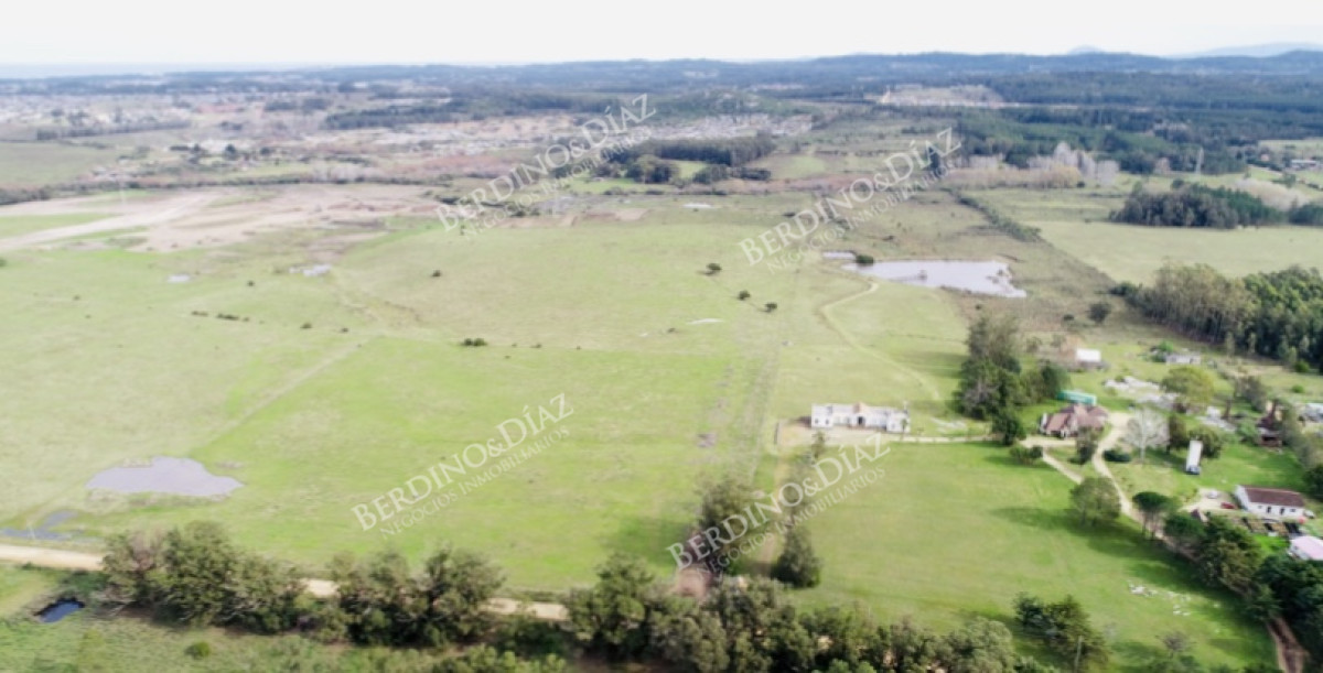 Chacra ID.1088 - Chacra importante en R. 39 con 700 m2. construidos