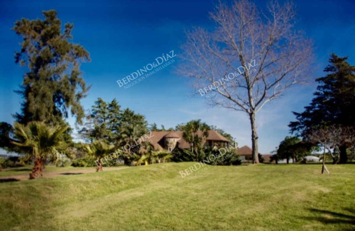 Chacra ID.1088 - Chacra importante en R. 39 con 700 m2. construidos