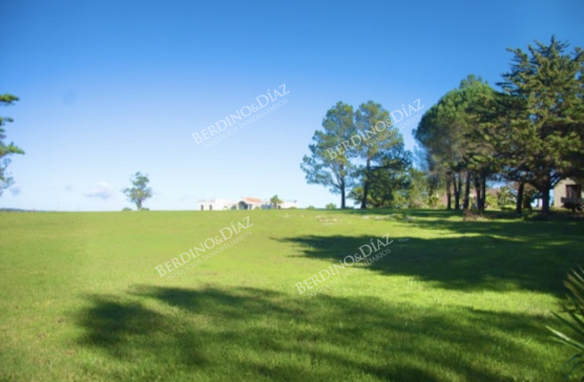 Chacra ID.1088 - Chacra importante en R. 39 con 700 m2. construidos
