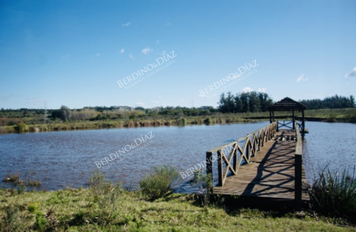Chacra ID.1088 - Chacra importante en R. 39 con 700 m2. construidos