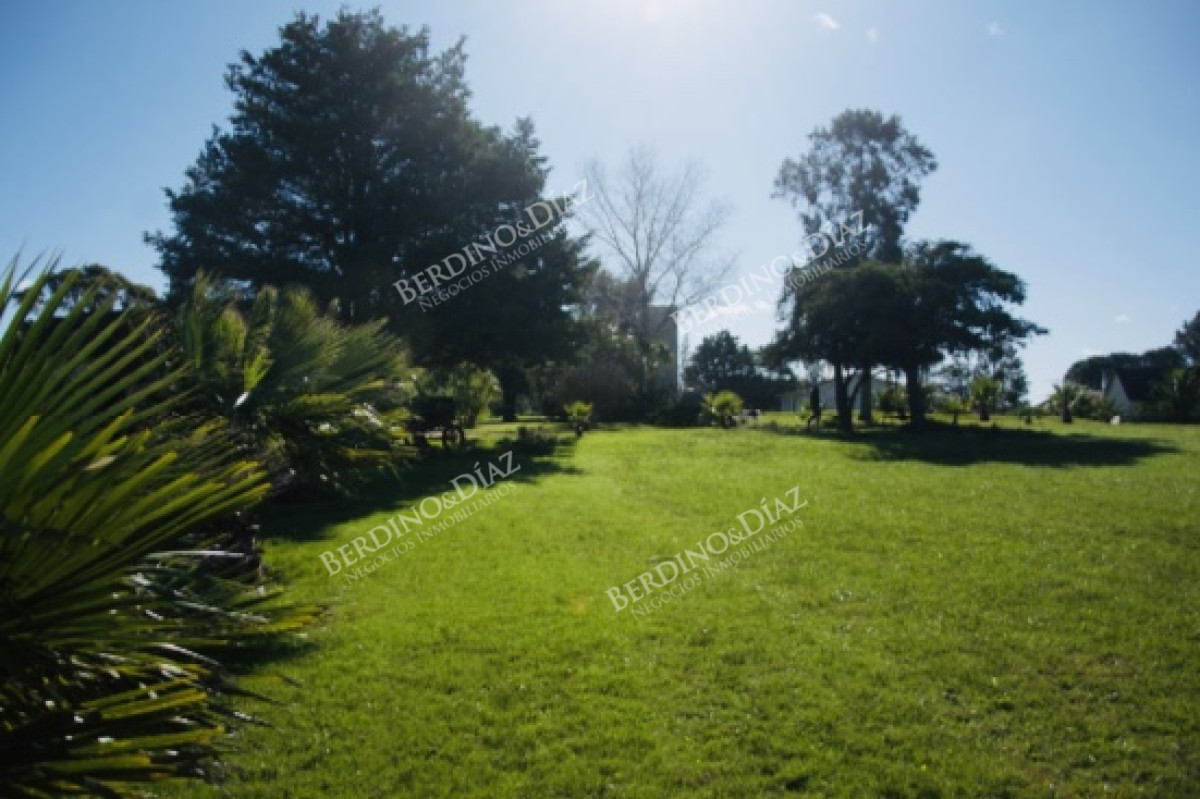 Chacra ID.1088 - Chacra importante en R. 39 con 700 m2. construidos