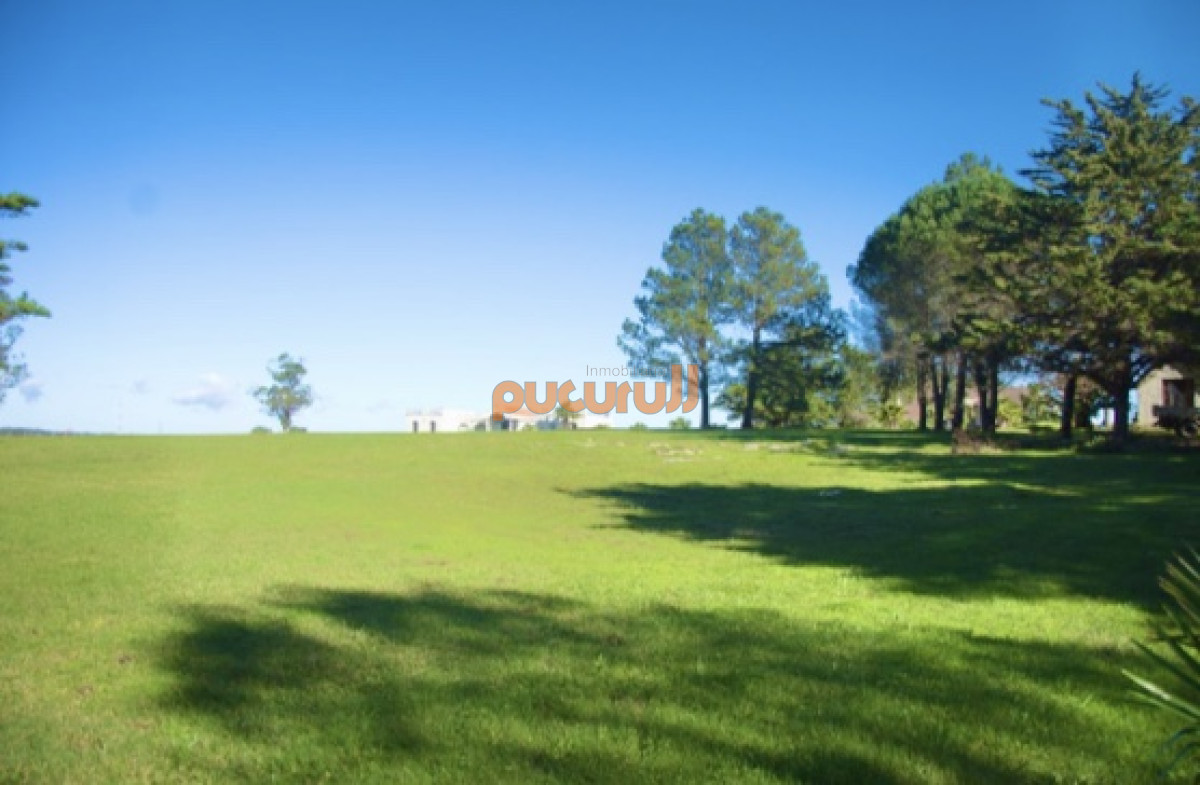Chacra ID.2124 - Chacra importante en R. 39 con 700 m2. construidos