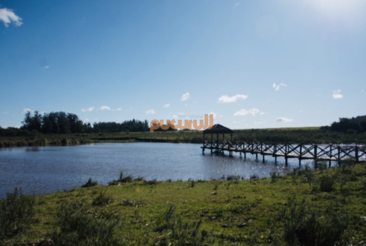 Chacra ID.2124 - Chacra importante en R. 39 con 700 m2. construidos