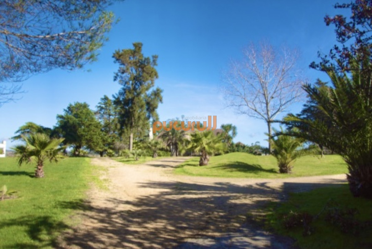 Chacra ID.2124 - Chacra importante en R. 39 con 700 m2. construidos