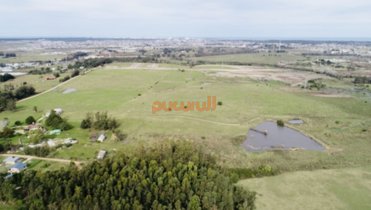 Chacra ID.2124 - Chacra importante en R. 39 con 700 m2. construidos