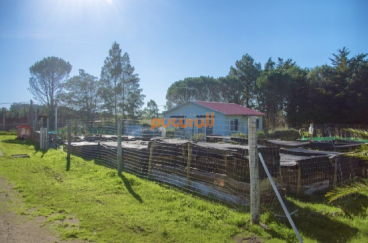 Chacra ID.2124 - Chacra importante en R. 39 con 700 m2. construidos