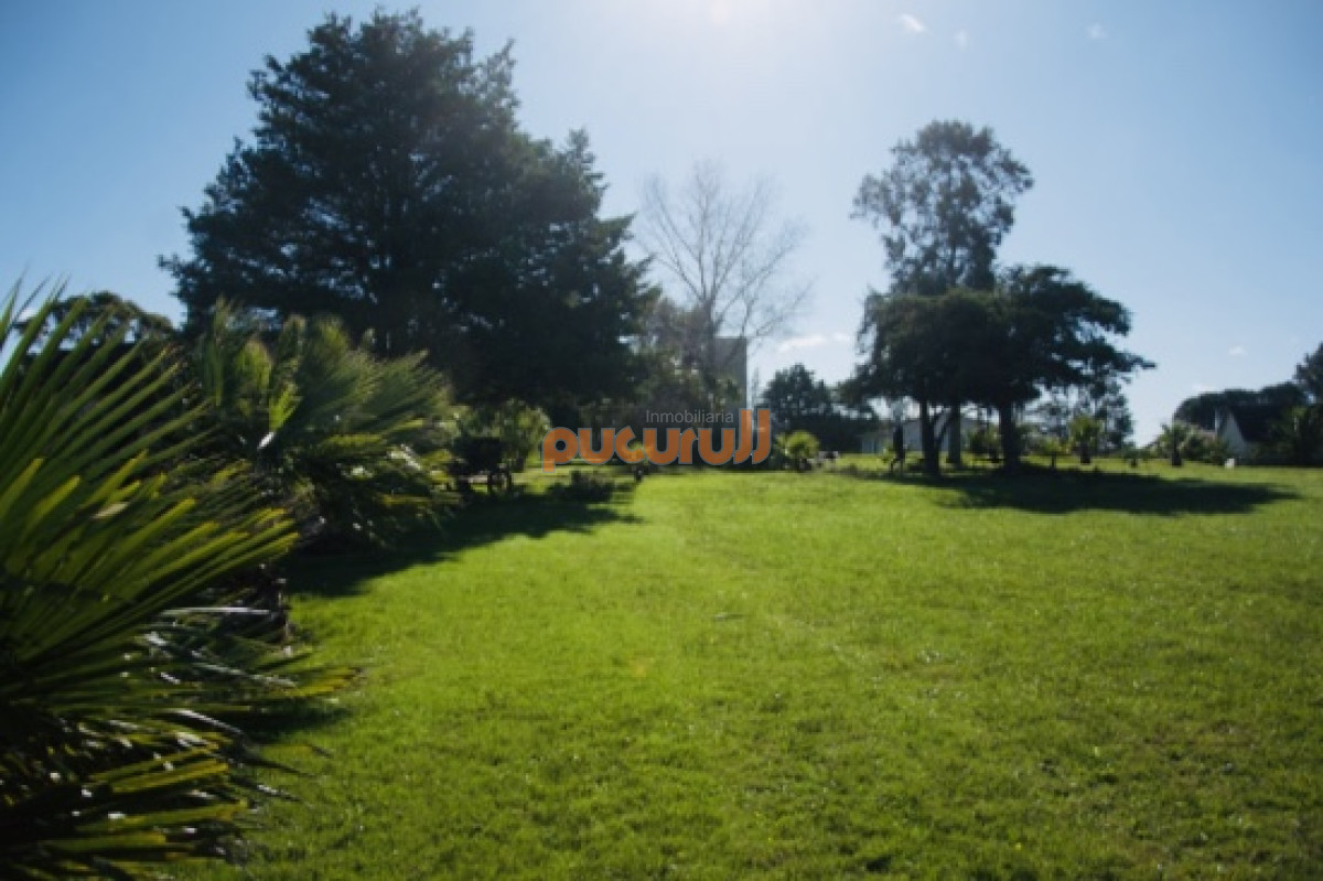 Chacra ID.2124 - Chacra importante en R. 39 con 700 m2. construidos