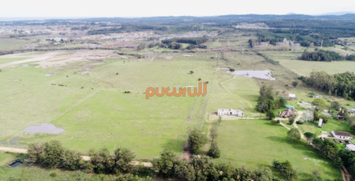 Chacra ID.2124 - Chacra importante en R. 39 con 700 m2. construidos