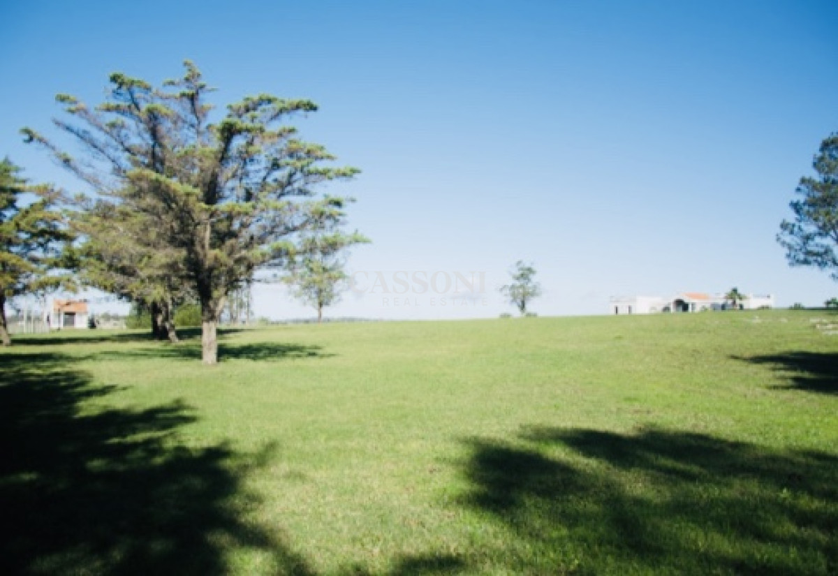Chacra ID.3842 - Chacra importante en R. 39 con 700 m2. construidos