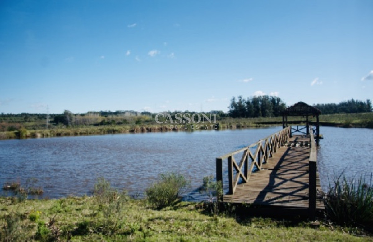 Chacra ID.3842 - Chacra importante en R. 39 con 700 m2. construidos