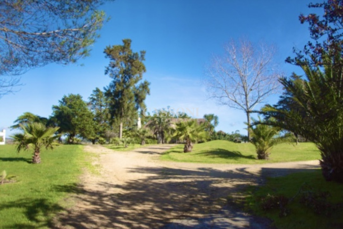Chacra ID.3842 - Chacra importante en R. 39 con 700 m2. construidos
