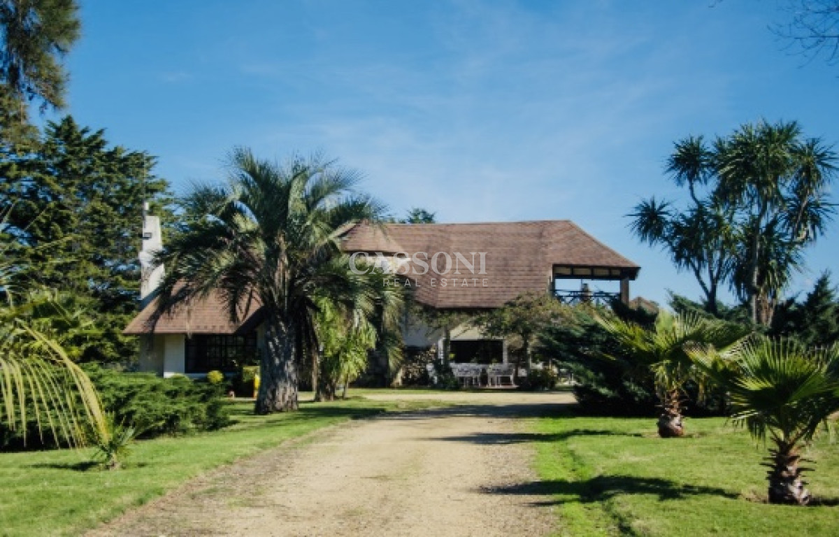 Chacra ID.3842 - Chacra importante en R. 39 con 700 m2. construidos