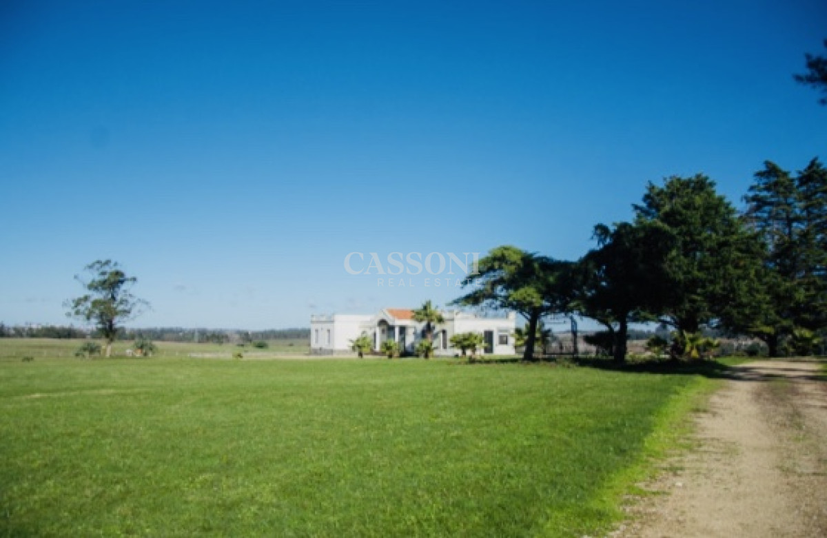 Chacra ID.3842 - Chacra importante en R. 39 con 700 m2. construidos