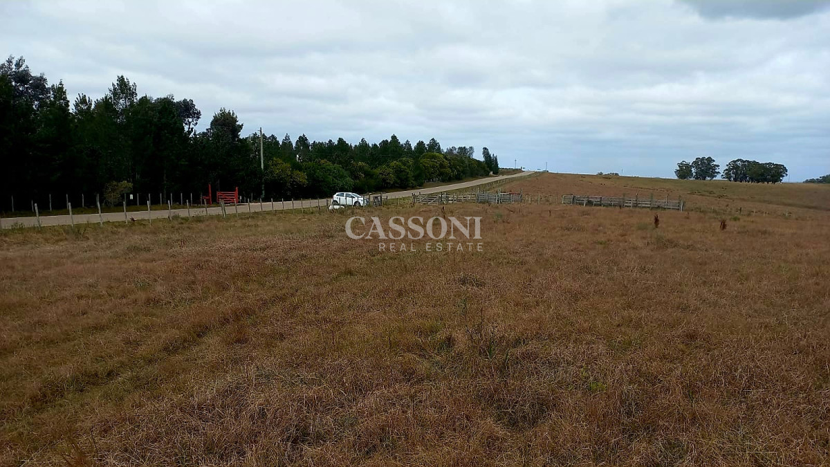 Campo Ref.3380 - Campo de calidad a minutos de José Ignacio y Garzón