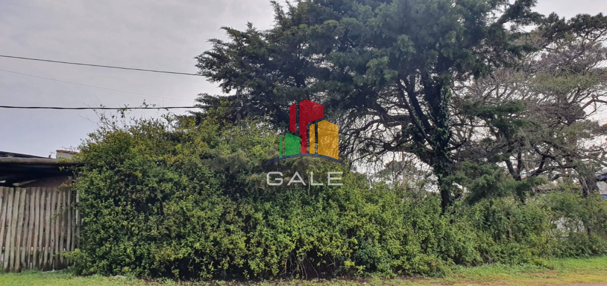 Casa ID.230 - Punta del Este, área comercial Pda. 5