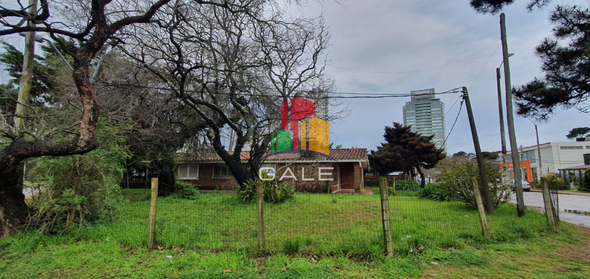 Casa ID.230 - Punta del Este, área comercial Pda. 5