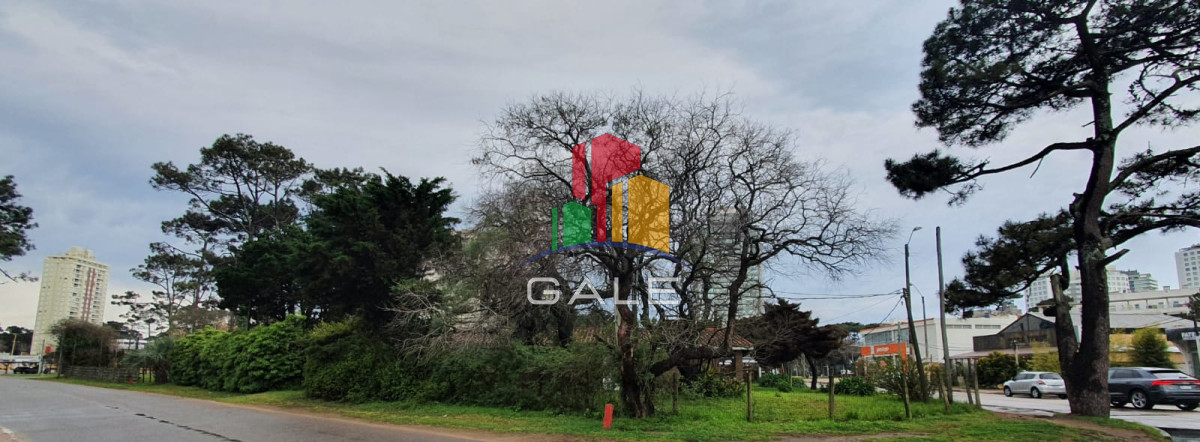 Casa ID.230 - Punta del Este, área comercial Pda. 5