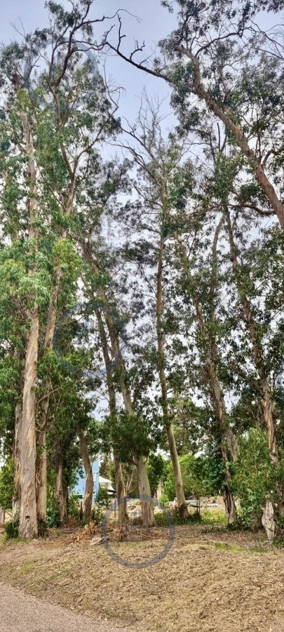 Terreno en zona de Colegios — fotografía 4