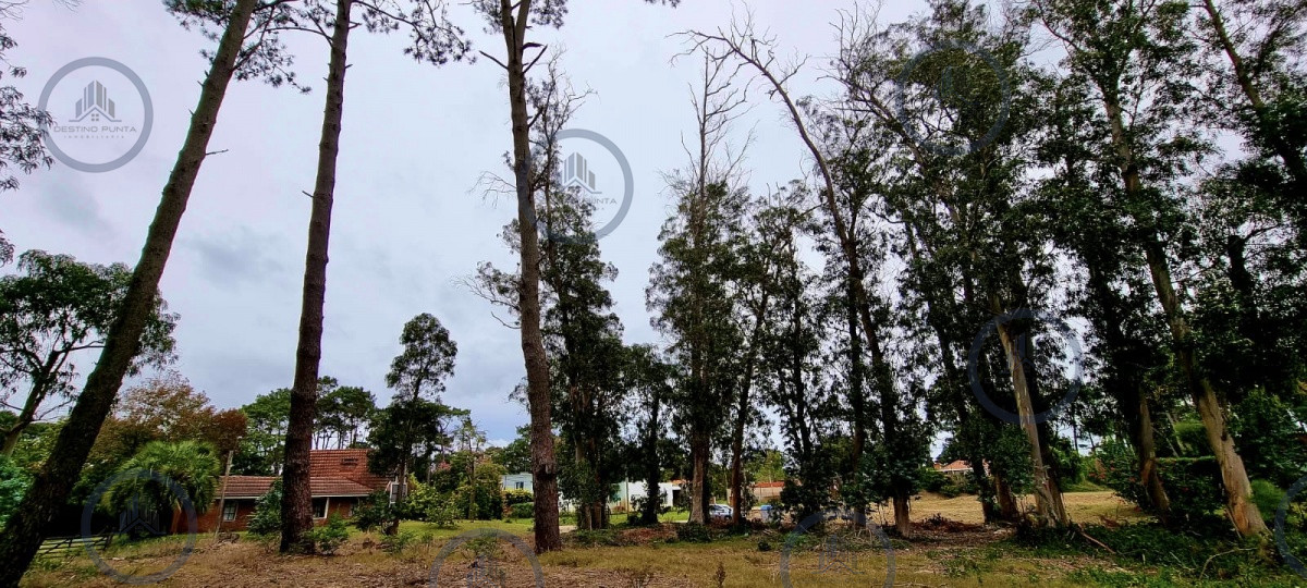 Terreno en zona de Colegios — fotografía 3