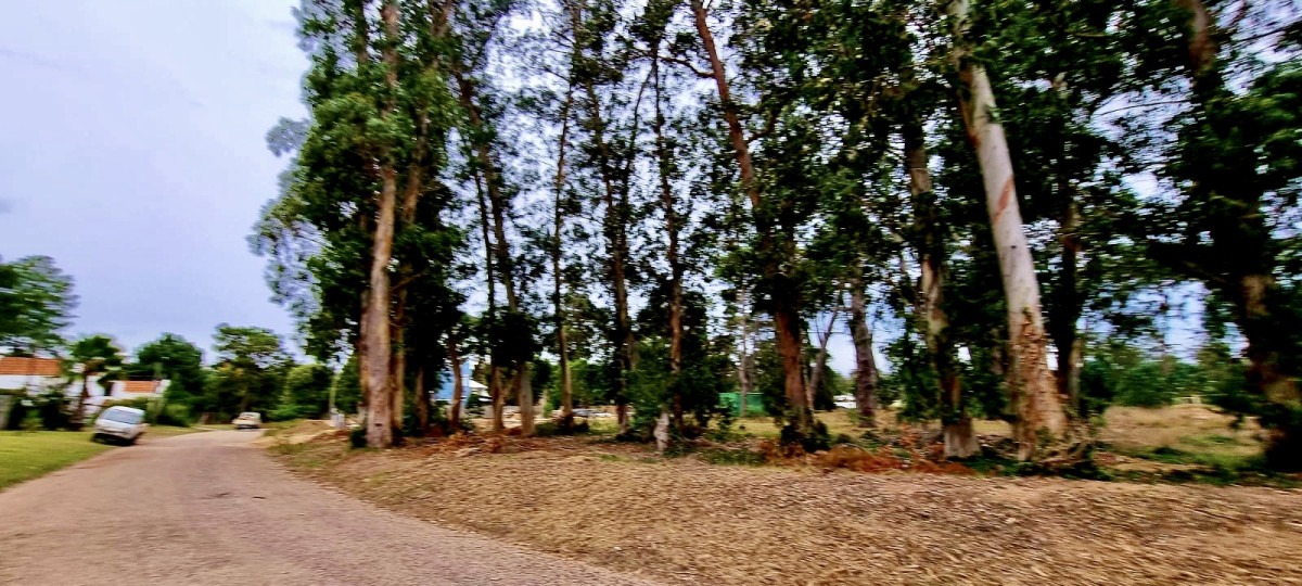 Terreno en zona de Colegios